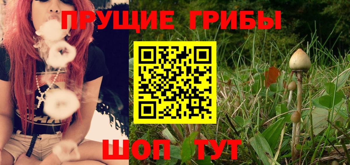 Псилоцибиновые грибы Psilocybe  Вход с VPN  Комсомольск-на-Амуре 