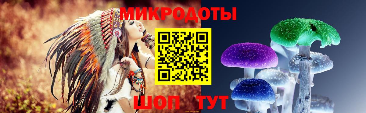 Галлюциногенные грибы Psilocybine cubensis Комсомольск-на-Амуре